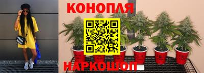 метамфетамин Гай