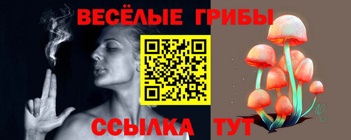 Галлюциногенные грибы Cubensis  закладка  Тельмана  Вход с VPN 