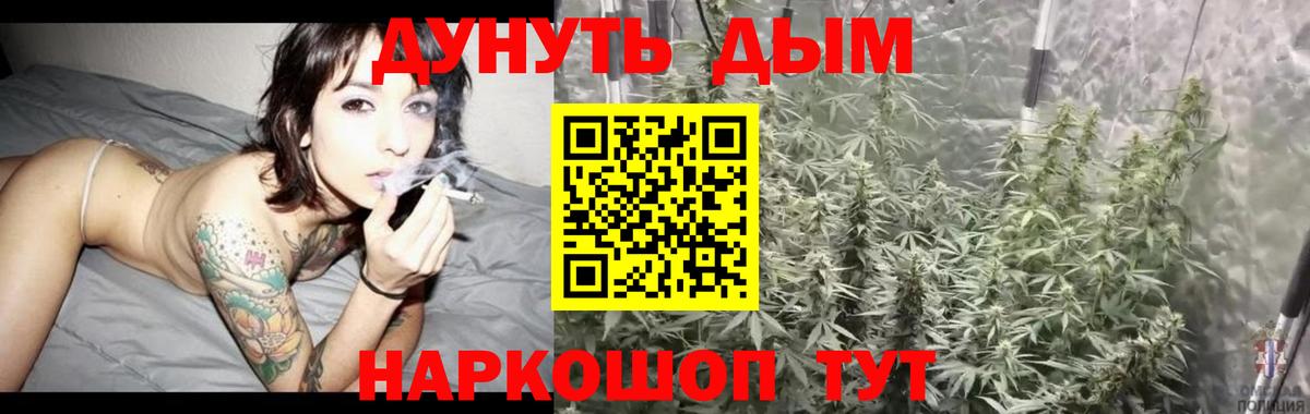 Шишки марихуана планчик  Вход с VPN  Тельмана  Бошки марихуана марихуана  Бошки марихуана конопля 